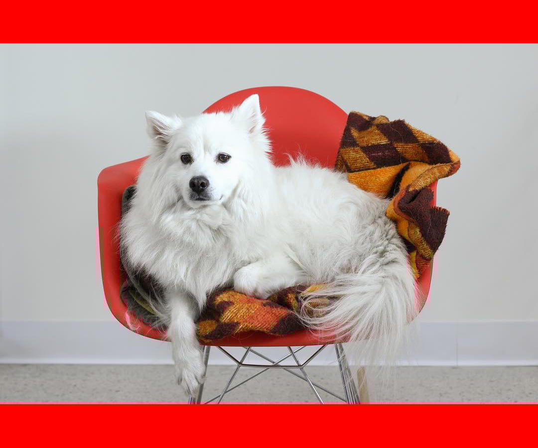 background=red output