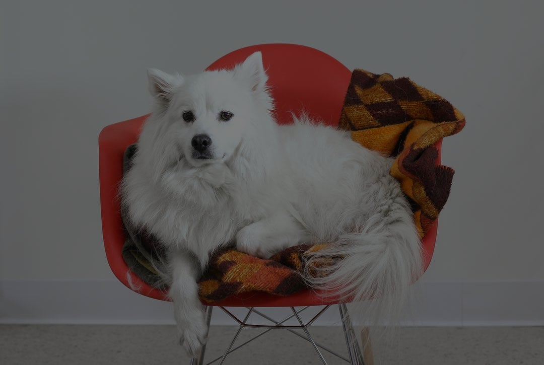 brightness=0.5 output