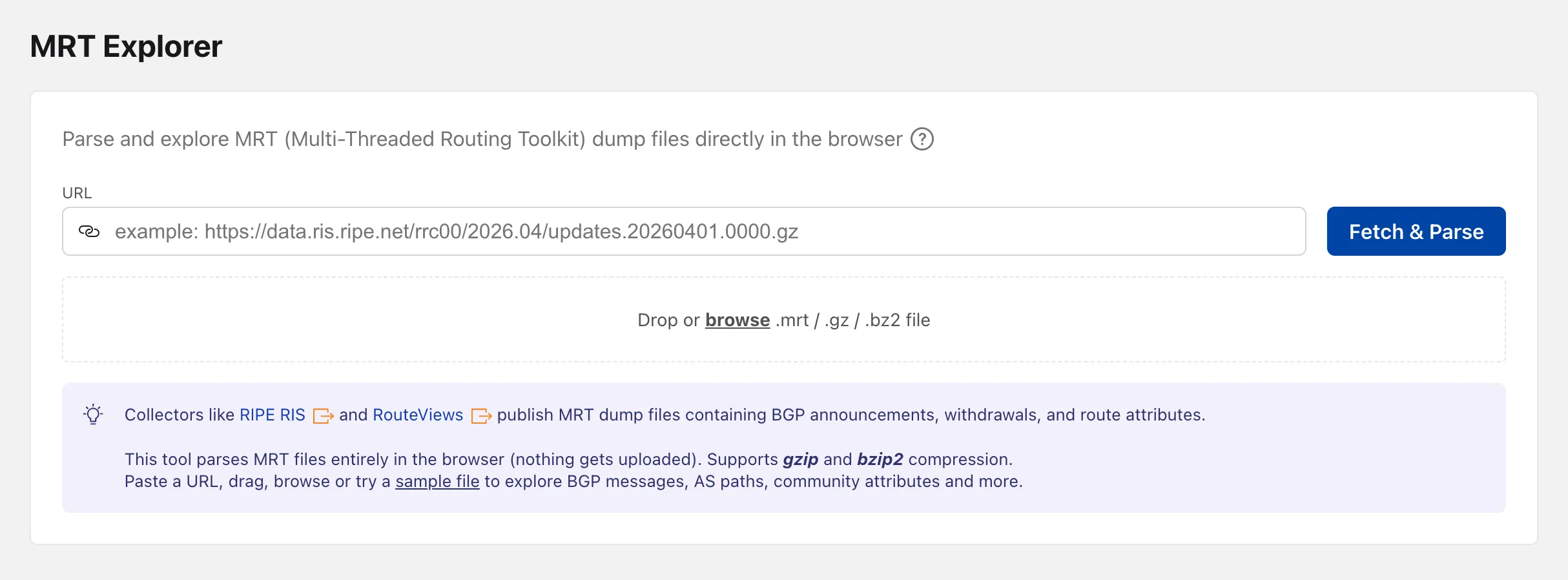 Screenshot of the MRT Explorer file input form