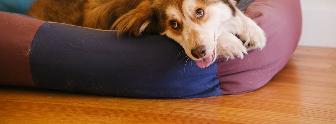 output without gravity=auto