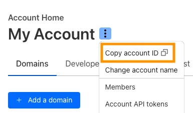 Screenshot of the Overview page with the API section highlighted