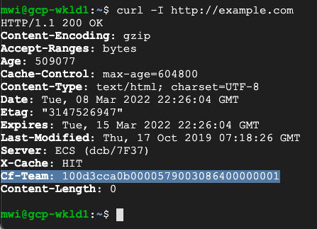 Curl example for validating Secure Web Gateway