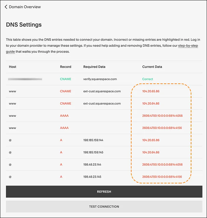 Screenshot of error warnings in squarespace