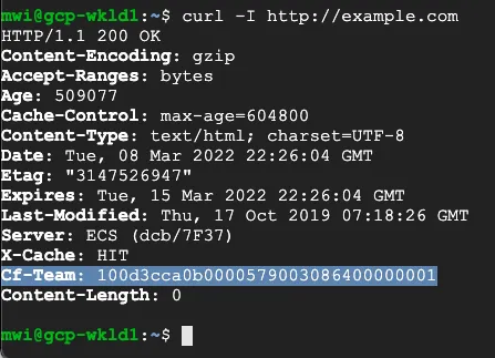 Curl example for validating Secure Web Gateway